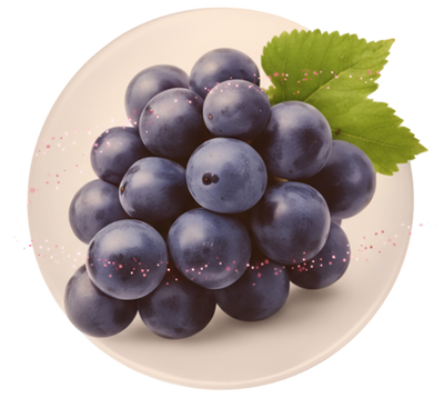 Resveratrol